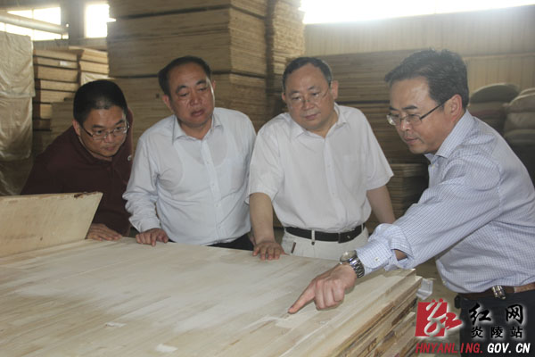 省林业厅副厅长唐苗生一行来炎调研林业产业工作