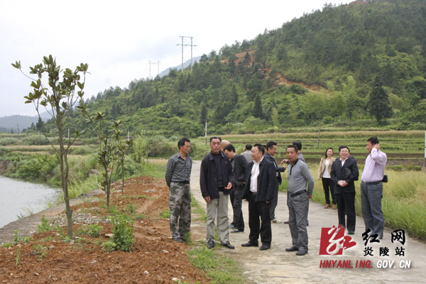 带着责任和感情推进“美丽乡村”示范村建设