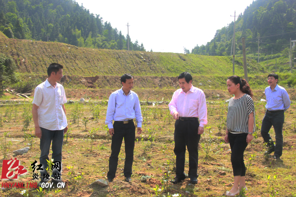 省商务厅副厅长彭雁峰一行来炎指导建设扶贫工作
