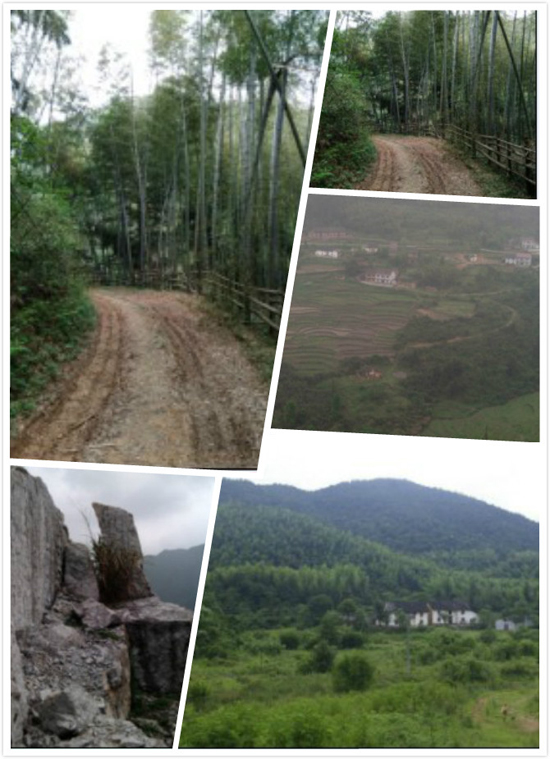踏遍攸州：“穿越鸾山千草湖”徒步活动预告
