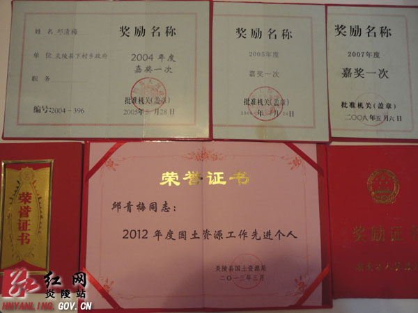 【通讯】她是一只筑巢的燕子——追记炎陵县下村乡国土员邱青梅同志