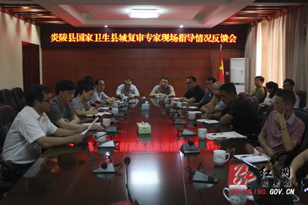 炎陵召开国家卫生县城复审专家现场指导情况反馈会