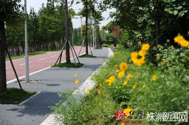 到2030年,株洲云龙将建成约1000公里一二三级绿道/图