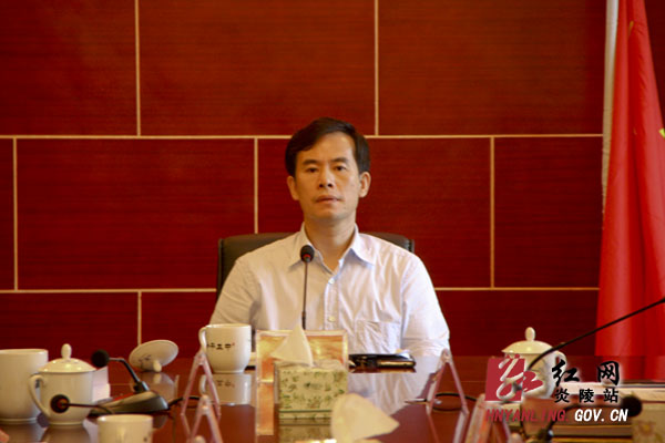 炎陵县召开电力体制改革工作会议