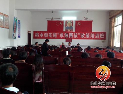 桃水镇掀起计生新政宣传热潮