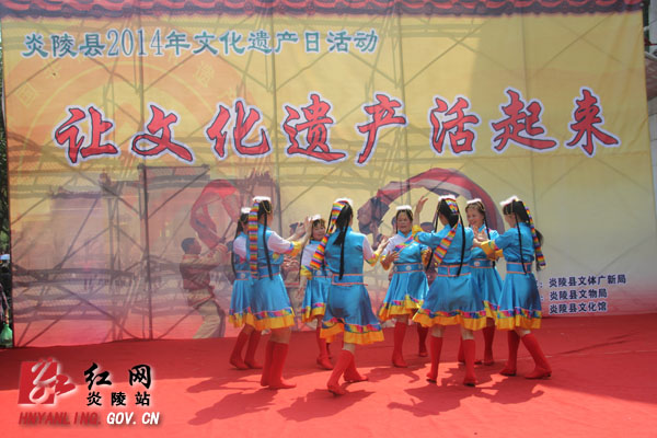 炎陵县举行＂全国文化遗产日＂宣传活动