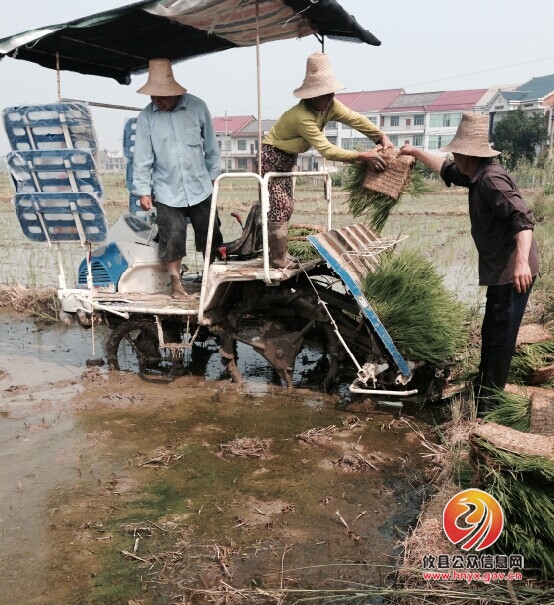 大同桥镇种粮大户迎来“机械化时代”