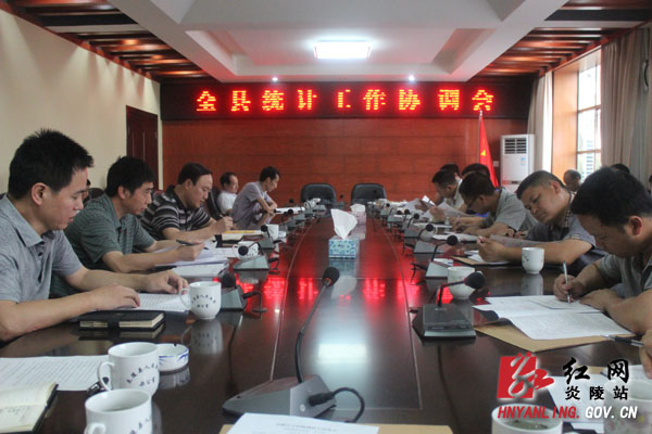 全县统计工作协调会召开