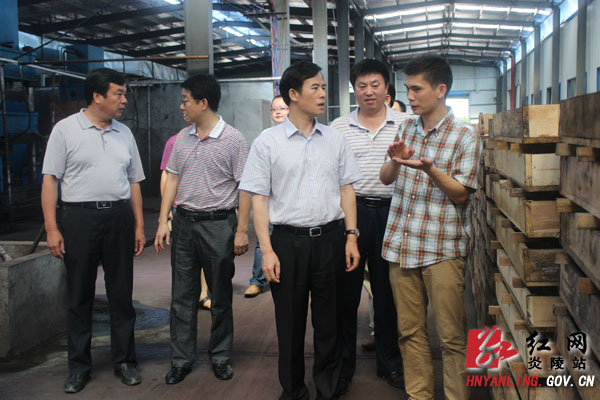 刘正平：做大做强实体经济 推进全县新型工业化进程
