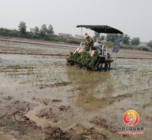 大同桥镇种粮大户迎来“机械化时代”