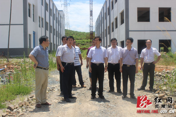 刘正平：做大做强实体经济 推进全县新型工业化进程