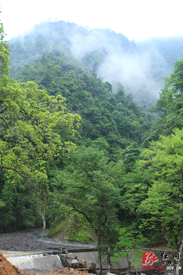 【旅游推介】人间仙境青石岗 养在深闺待人识