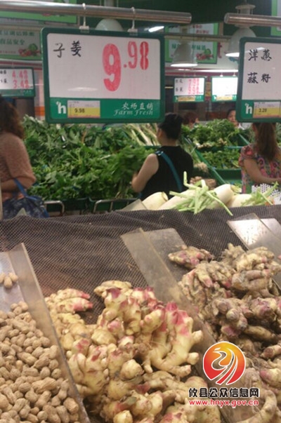我县生姜价格持续走高