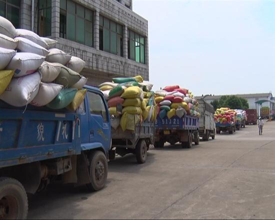 株洲县夏粮收购进入送粮高峰期