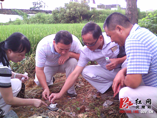我县未发现有农户种植转基因农作物