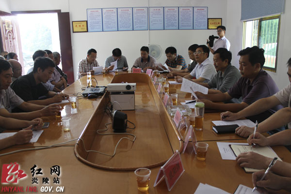 张雄到会指导龙凤村党支部专题组织生活会