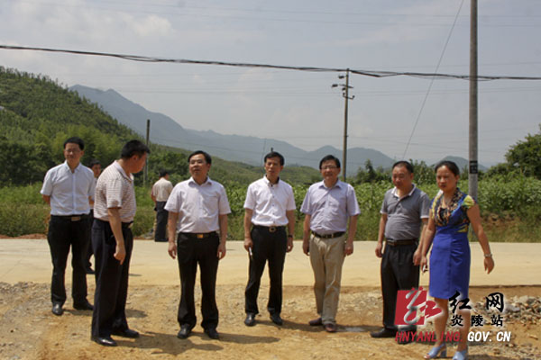 黄诗燕：坚定信心 集中火力 持续推进重点项目建设