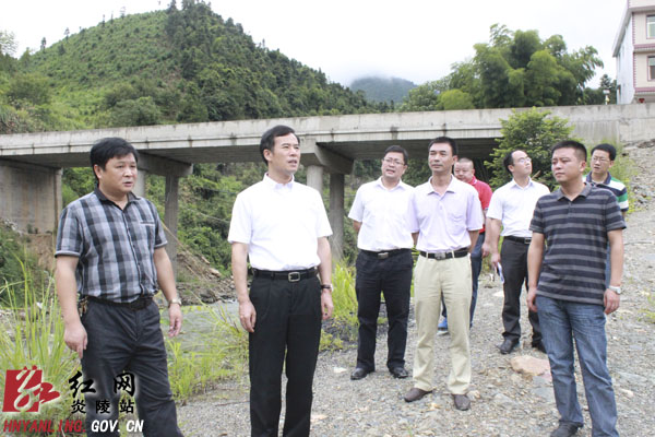 刘正平调研原X064线桐睦至新生大桥段公路损毁修复工作