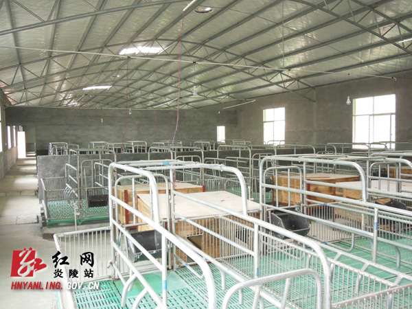 炎陵县最大生态养猪场正式投产营运