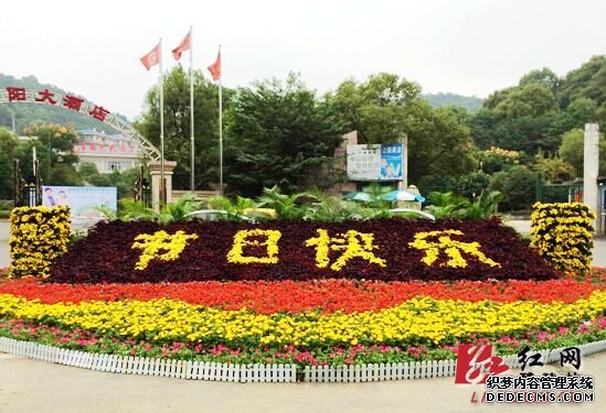 鲜花齐放迎国庆