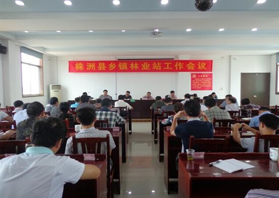 株洲县召开乡镇林业站工作会议
