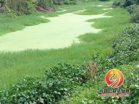 桃水镇多措并举创建国家级生态乡镇