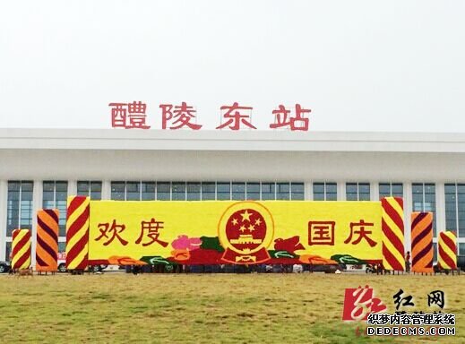 鲜花齐放迎国庆