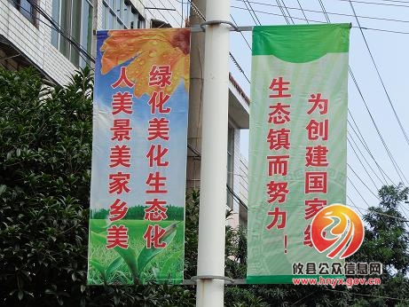 桃水镇多措并举创建国家级生态乡镇