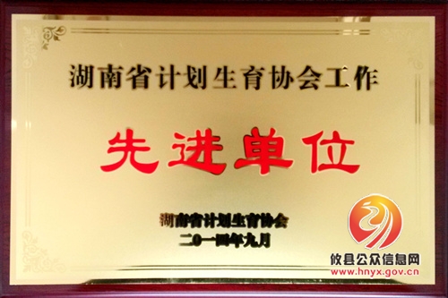 攸县计生协喜获“湖南省计划生育协会工作先进单位”荣誉称号