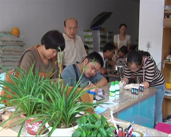 株洲县开展农药市场专项检查活动