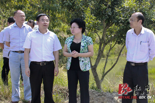 彭爱华调研湖田村扶贫工作：抓住重点 全力推进
