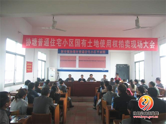 新市镇召开协塘村普通住宅小区国有土地使用权现场拍卖大会