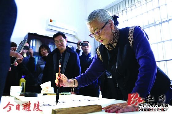 耿飚长女、华夏文化遗产基金会会长耿莹回乡考察