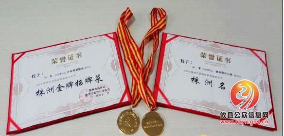海悦酒店获株洲市湘菜美食文化节金银奖