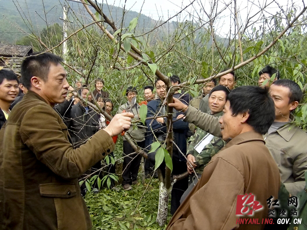炎陵县正式启动新型职业农民培育工程