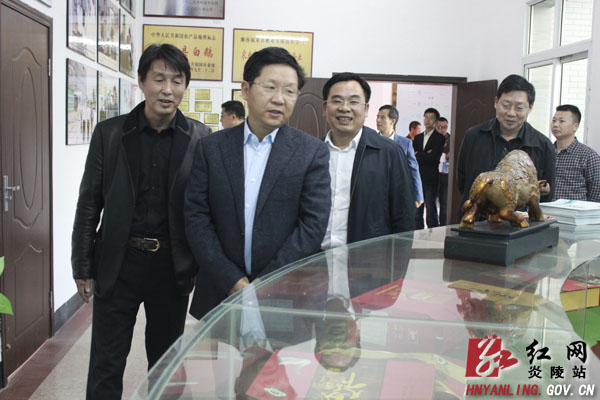 市委常委、常务副市长赵文彬来炎考察指导工作