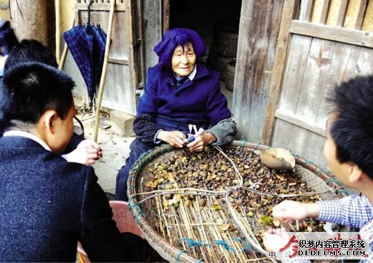 中青班学员乡村接地气