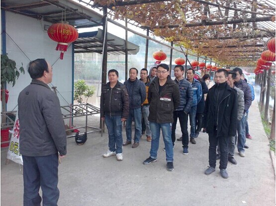 云龙示范区开展社区矫正人员集中教育暨公益性劳动