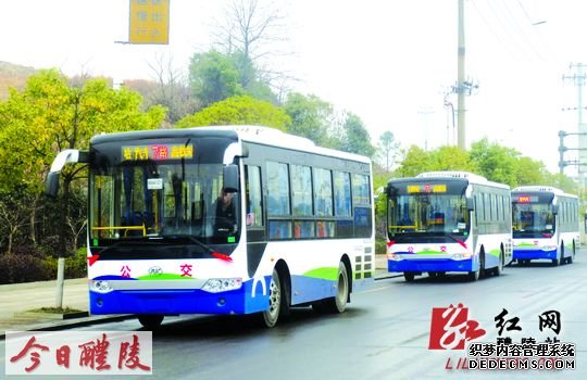 7路高铁专线将启用10台新型公交车