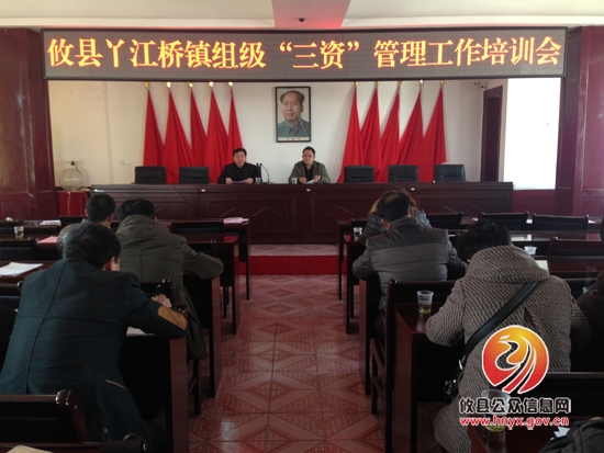丫江桥镇召开组级“三资”管理工作动员大会