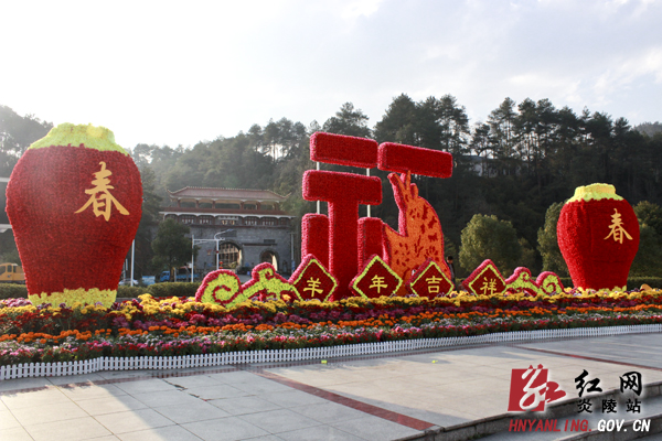 炎陵满街是年味（组图）
