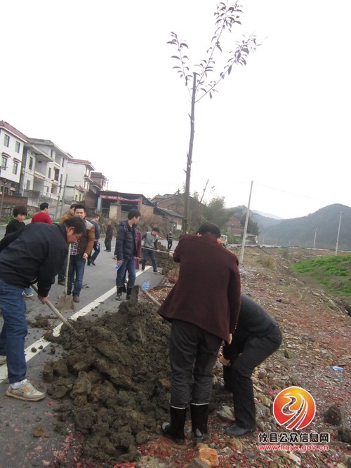 播种绿色，共建和谐家园
