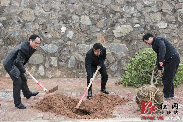 炎陵县四大家领导带头参加植树造林活动