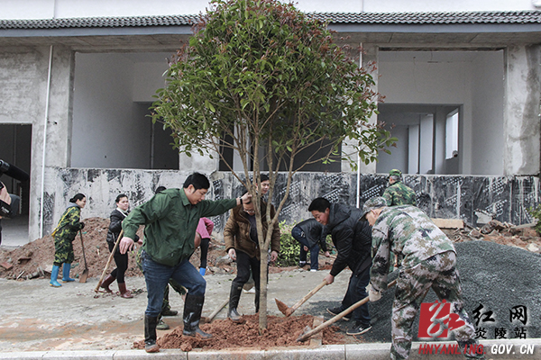 炎陵县四大家领导带头参加植树造林活动