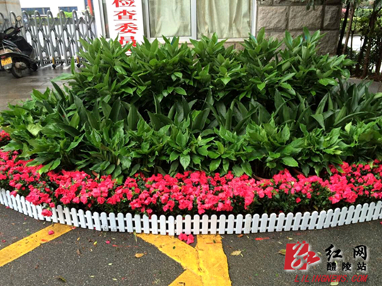 【瓷博快讯】市园林局:百花齐放迎盛会