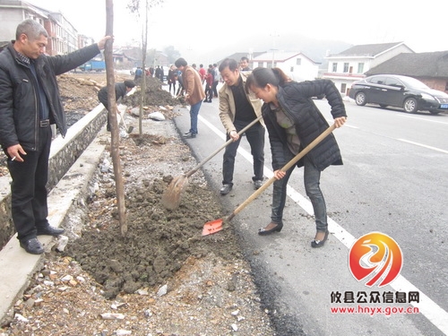 播种绿色，共建和谐家园