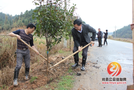 槚山乡开展义务植树活动