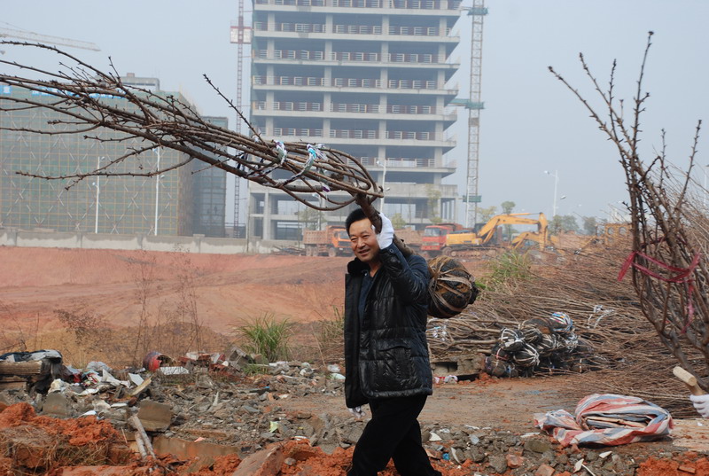 市国土资源局团委组织参加“绿色进社区万人义务植树”活动