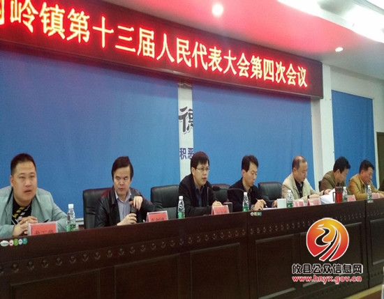 网岭镇召开第十三届人民代表大会第四次会议