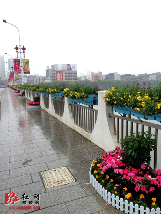 【瓷博快讯】市园林局:百花齐放迎盛会
